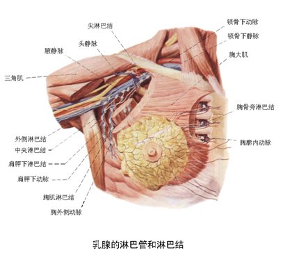 &#30343;&#20896;