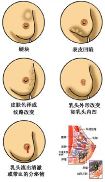 &#30343;&#20896;
